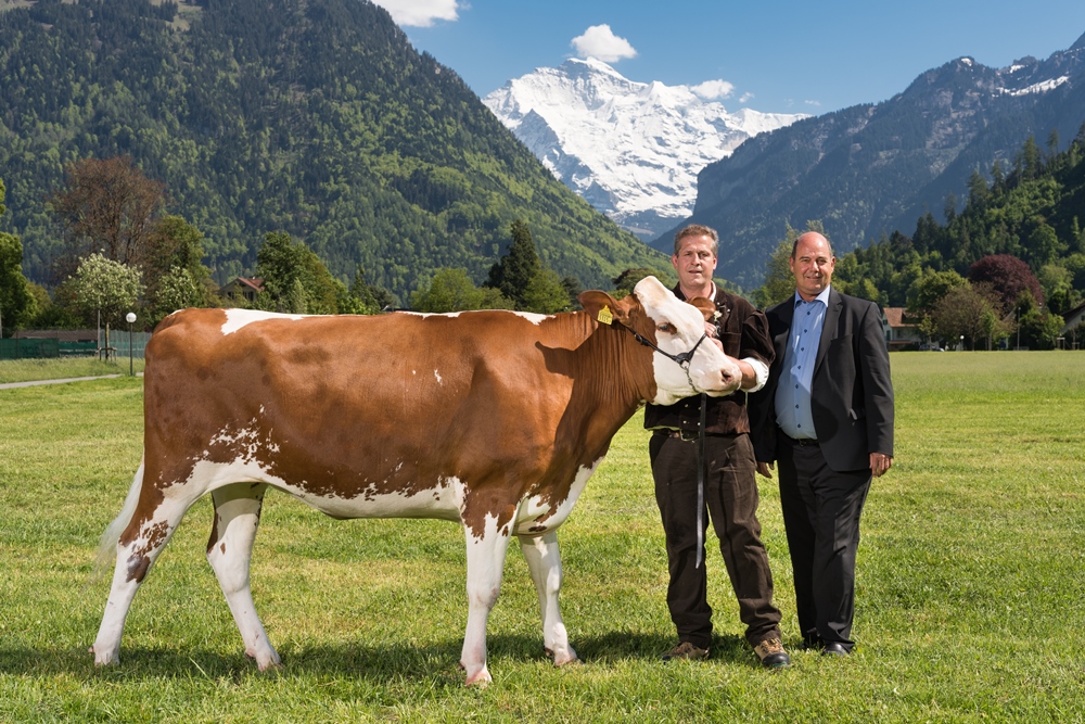 45.1 3. Lebendpreis Karoline