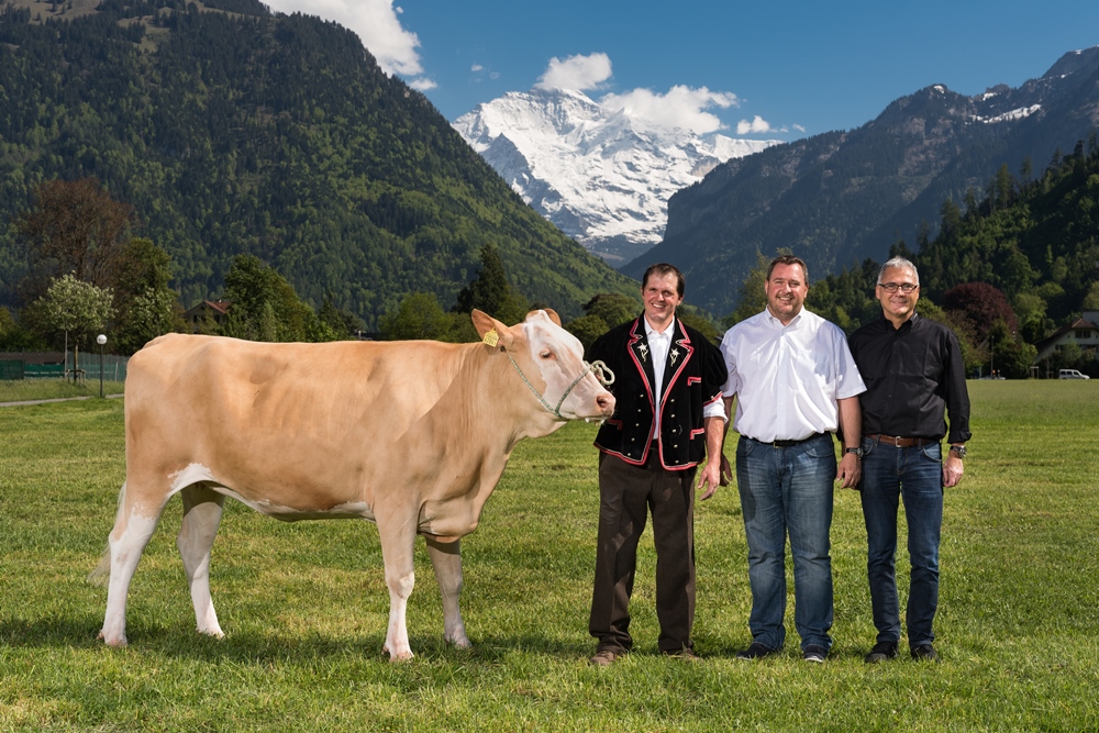 46.2 6. Lebendpreis Wolke